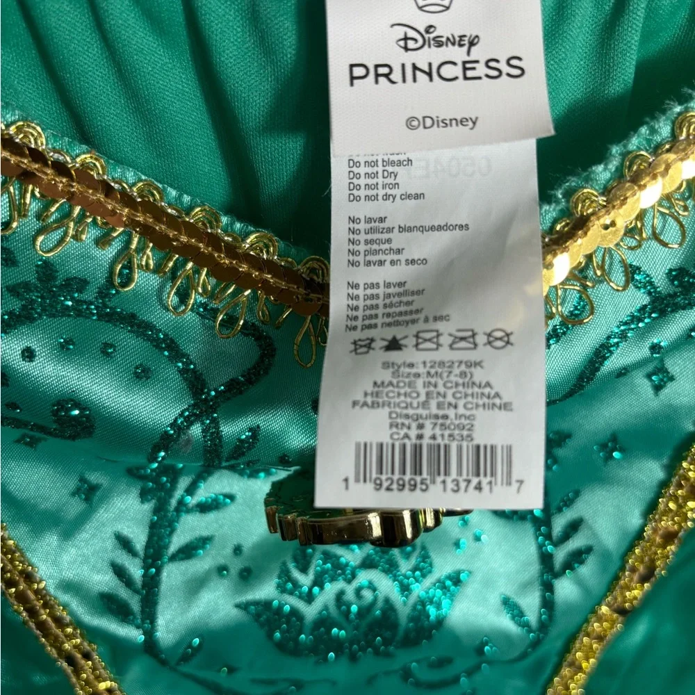 Disney Princess Jasmine Costume